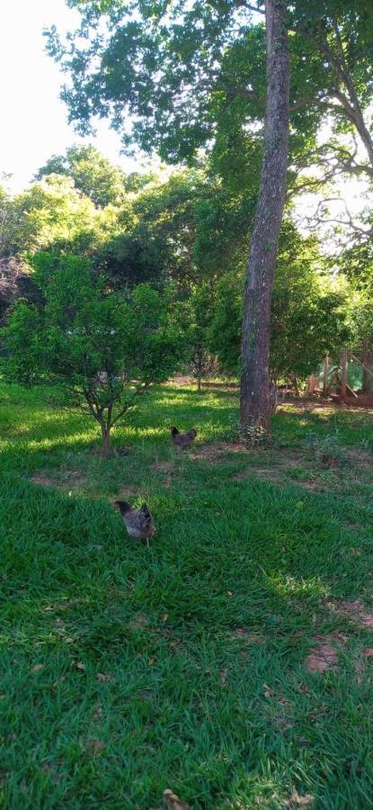 Chales Jardim Da Serra Serra do Cipo National Park Εξωτερικό φωτογραφία